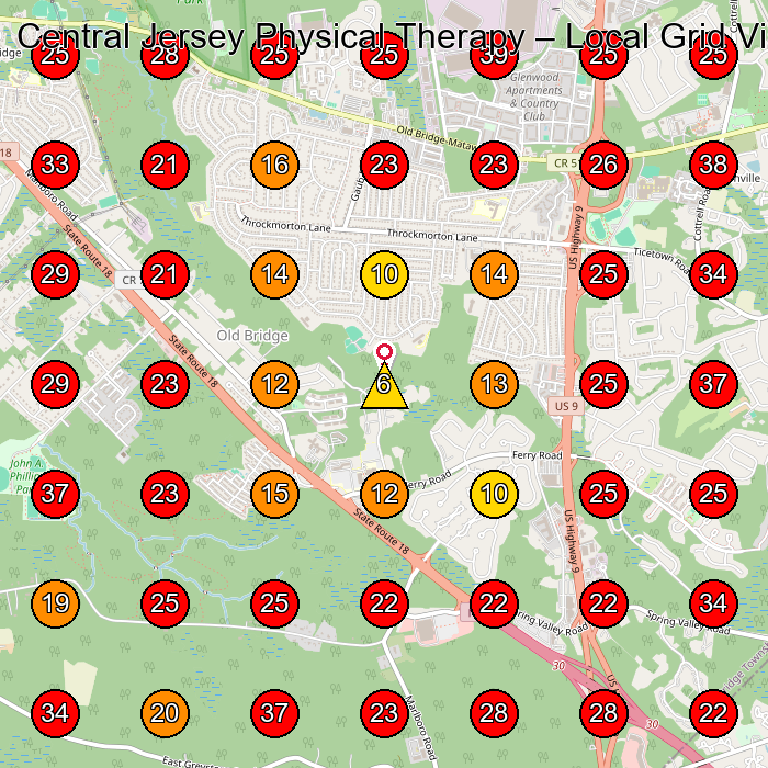 Central Jersey Physical Therapy GeoGrid visibility map for Physical Therapist in Holmdel